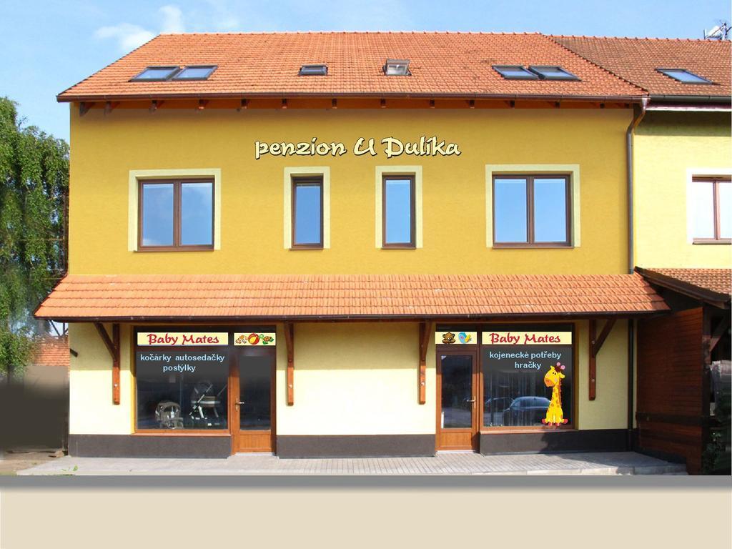 Penzion U Dulika Veselí nad Moravou Kültér fotó